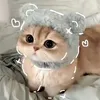 vanillagirly_iradiva
