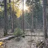 abibaska27
