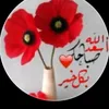 user3080034915781