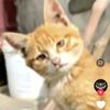 oyenoyen_357