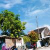 ngopi_wo