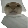 r1pl1nh