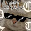 servano301
