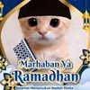 m.fikiran.danu