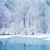 icecity08