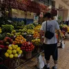 pippo_il_fripono