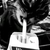 zxy_aril