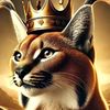 user408360001465