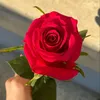 user2219566990548