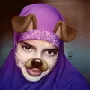 hajar___hs