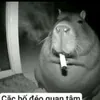 8htanky