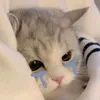 kct150615._.ik