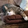 katoziwi