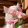 abirkhan7874