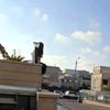 yuval0794