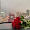 hyat5476