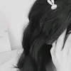 6f.sf3