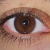 serdar_64654