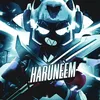 haruneem2008