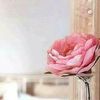 suad.hussein7