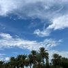 user1081061984361