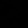 p_____k11