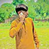 hassan.hassan9204