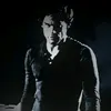 vynf1lms