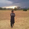 user8303913381175