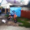 zodfit