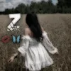 user160827353017