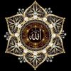 dr.noyan