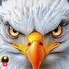 user4559612256945
