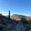 arizona.gregg8