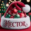 hector.ramos146