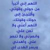 amna8663