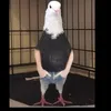denis_1723