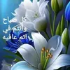 husseinghani74