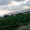 user8081197946271