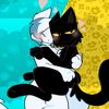 zorro_fox1226