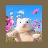 ronny_07503