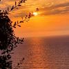 salma.elsherbiny25