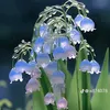 ana_yandrija3562428