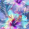 kimberly.baten1