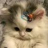 meow.meow.chan4