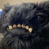 batfugg