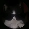 kusttttth