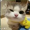 fisch_master_22