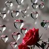 user5105271318106