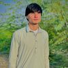 wasim_gull_18
